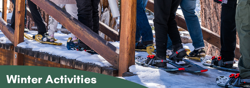 Winter Activities Banner